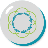 The Global Roundtable on Marine Ingredients
