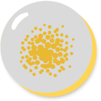Microplastic Origins and Uptake