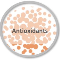 Antioxidants