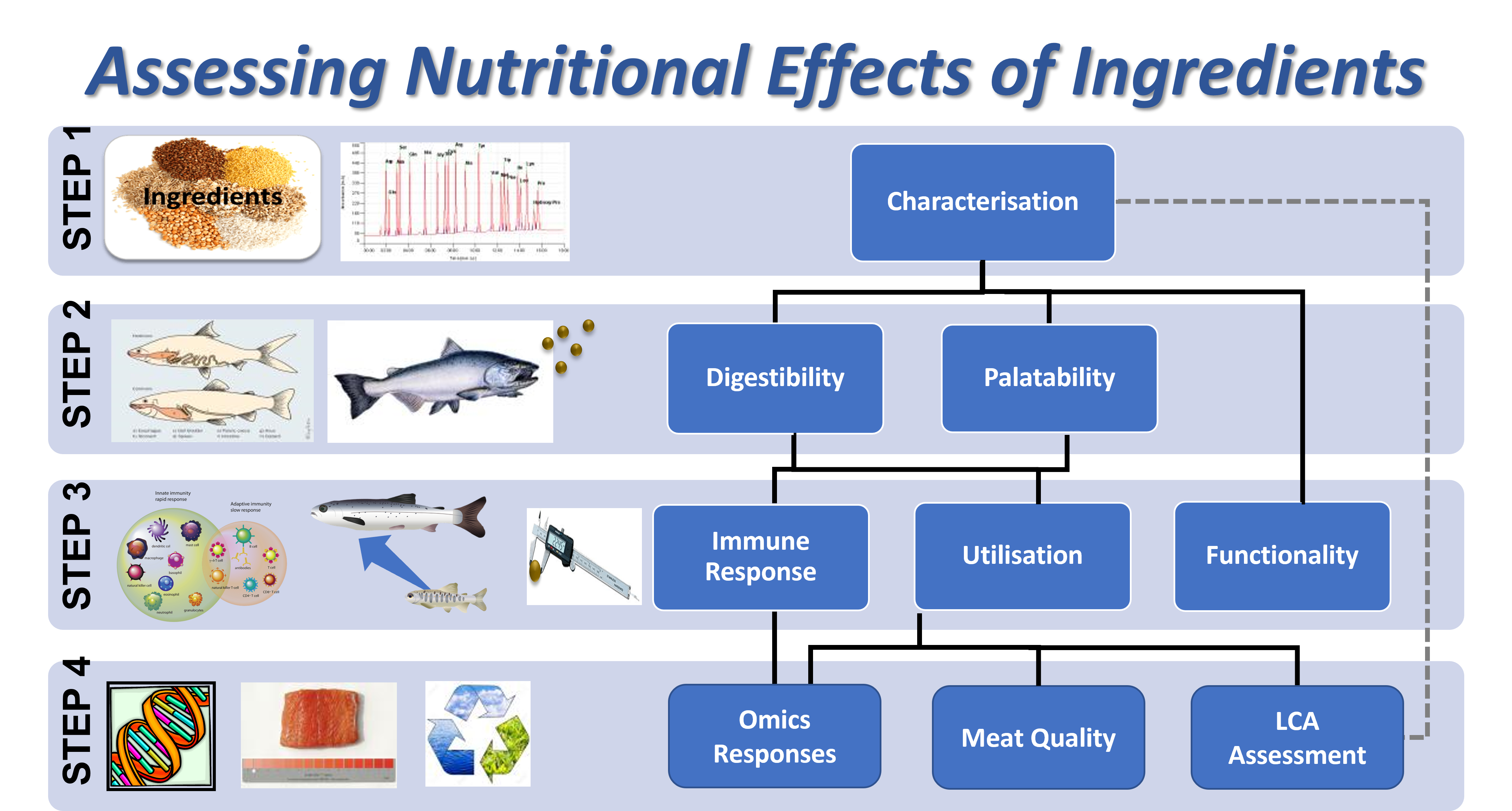 Assessing nutritional effects of ingredients