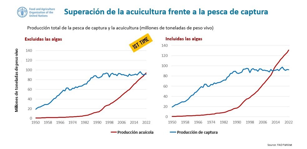 FAO