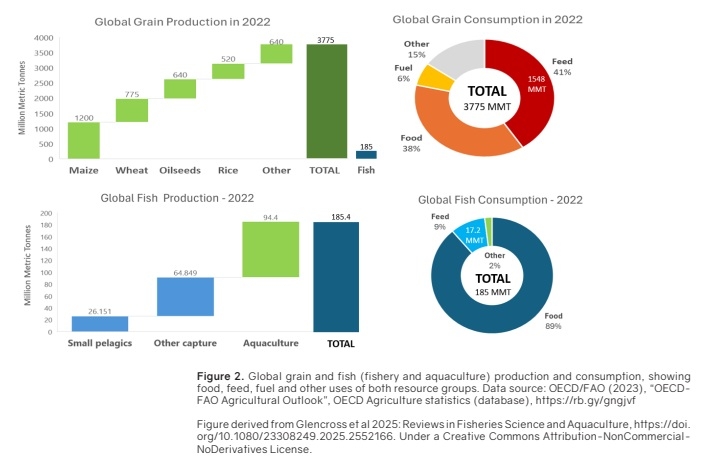Global grain and fish production and consumption