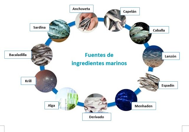 Fuentes de ingredientes marinos