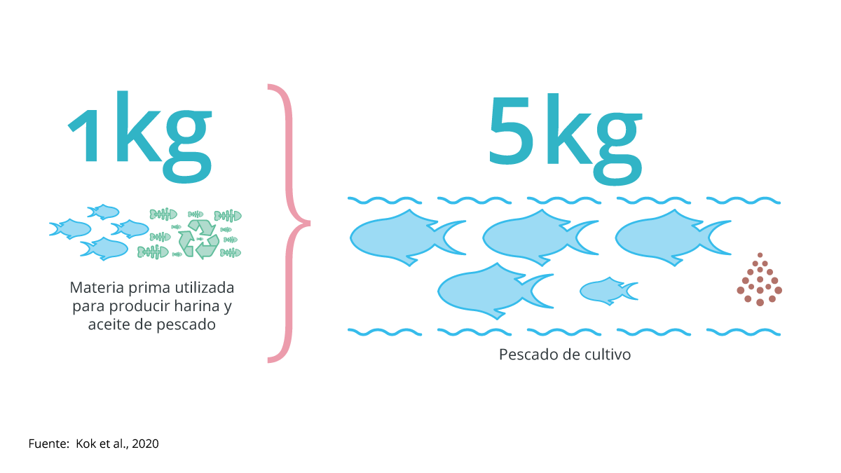 Multiplier effect