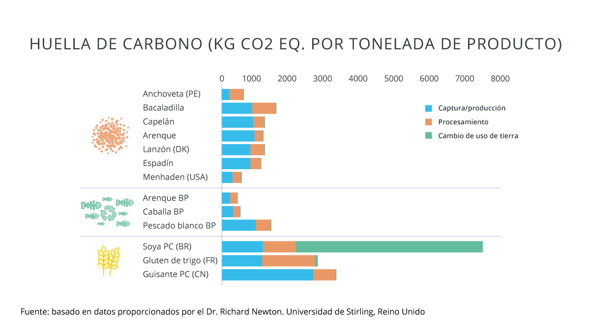 Carbon Footprint