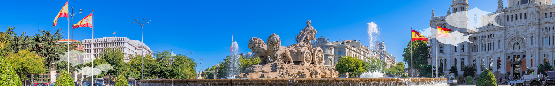 Madrid Members Meeting