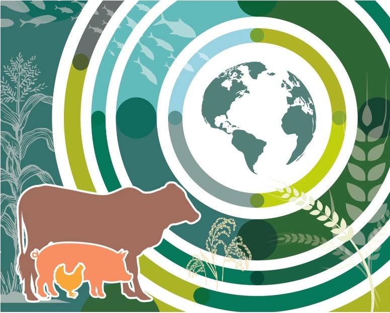 OECD FAO