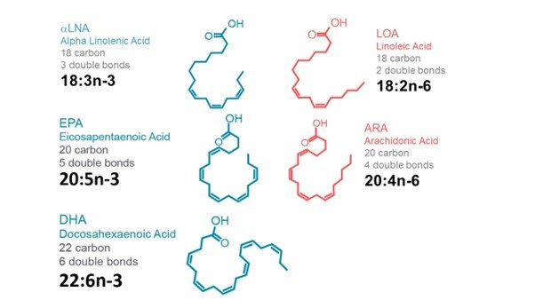 Omega3s