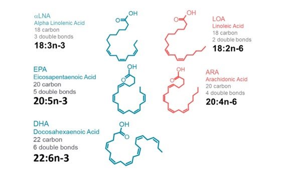 Omega3s