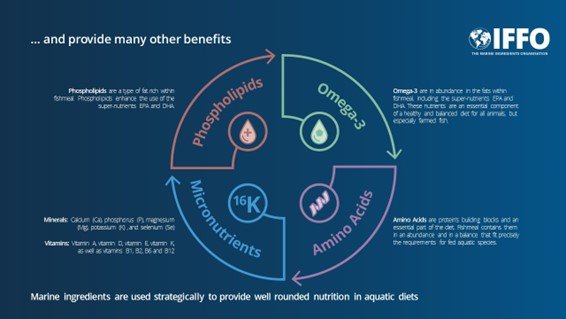 Nutrition 2