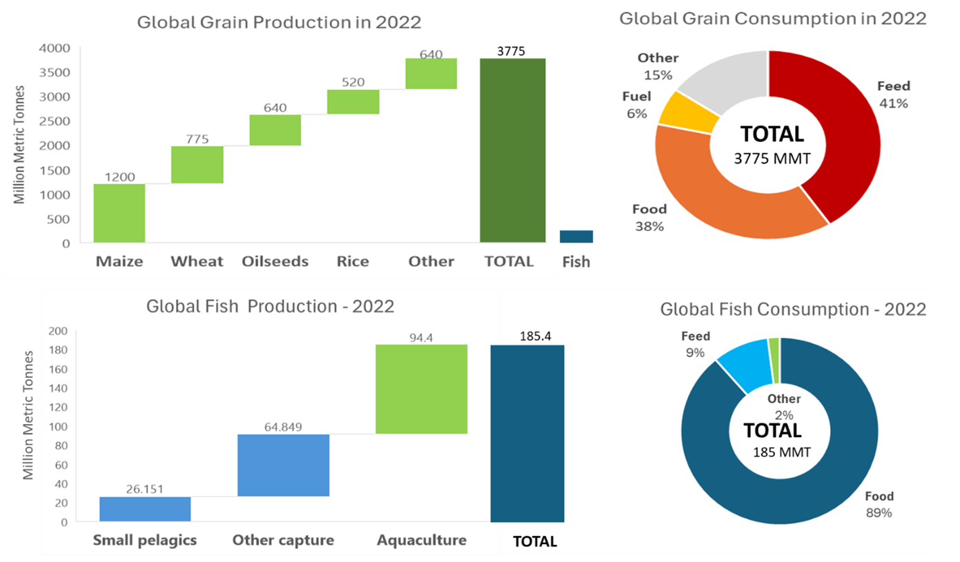 A breakdown of global grain and fish production by origin and consumption