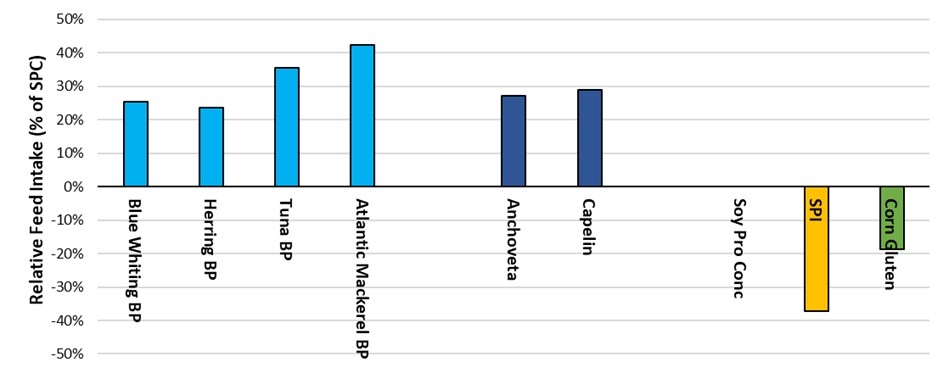 Figure 9. Relative feed intake by Atlantic salmon of a standard commercial reference diet formulation where the test diets had a 30% inclusion of the test ingredient. Included as test ingredients are a selection of by-product fishmeals, two whole fish fishmeals and several plant protein ingredients. Data is presented based on the relative feed intake response compared to the soy protein concentrate (Soy Pro Conc) diet, as this ingredient represents a well-known, consistent, highly reproducible commodity. Data IFFO (2021). Notable is that all fishmeals result in a clear improvement in feed intake, while each of the plant ingredients has the opposite effect.