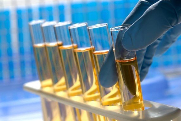 fish oil