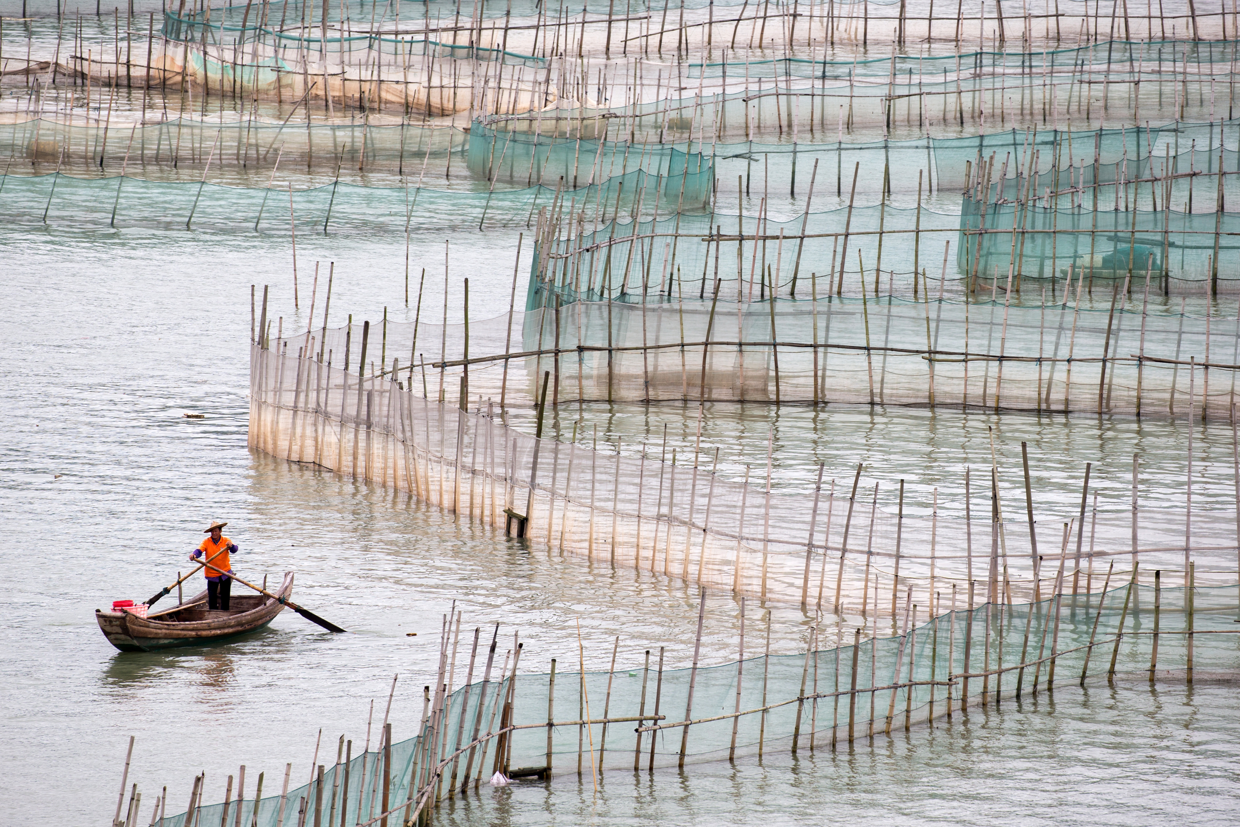 Source : CHEN WS / Shutterstock.com