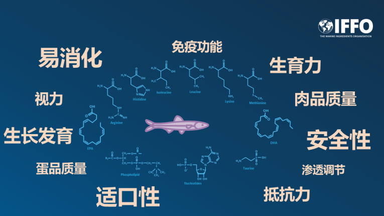 Fish nutrition