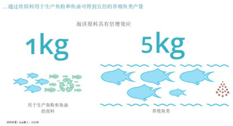 投入产出比