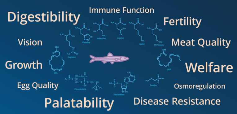 Fish nutrition