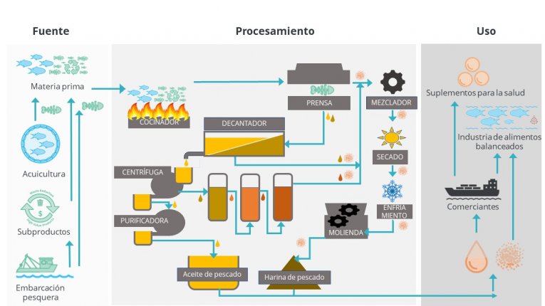 FMFO Production - Spanish