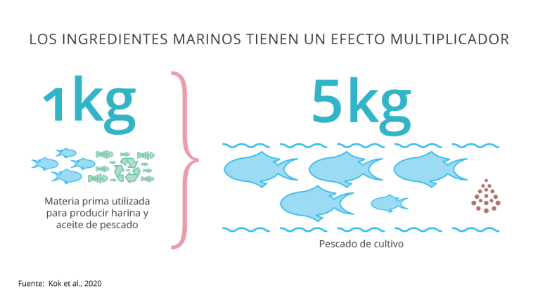 Multiplier effect