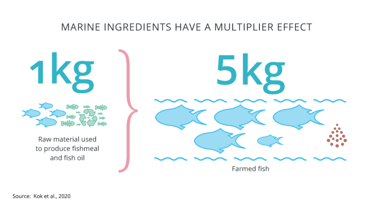 Multiplier effect