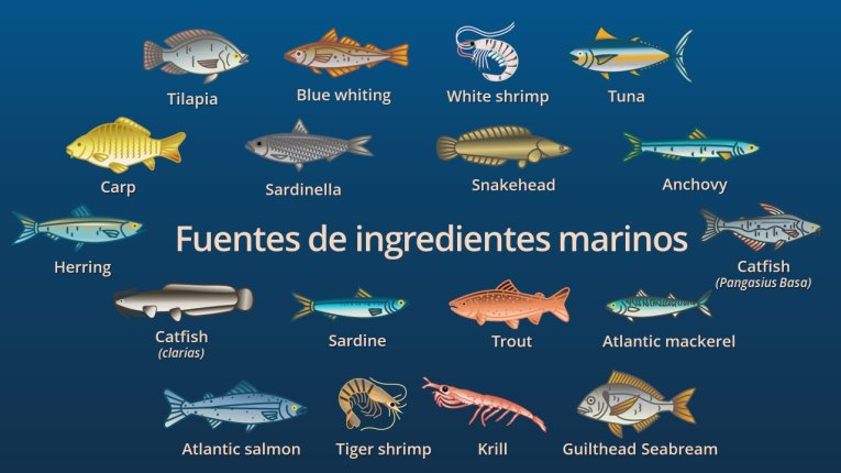 Sources of Marine Ingredients