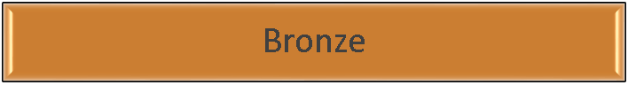 Bronze Sponsor