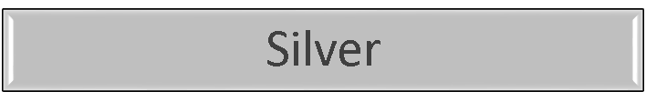 Silver Sponsor