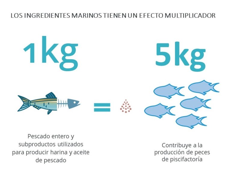 Multiplier effect