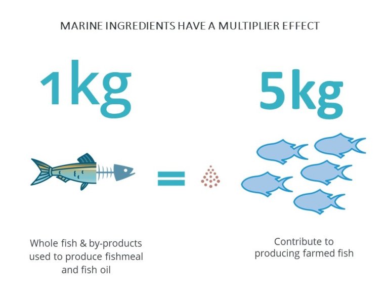 Multiplier effect