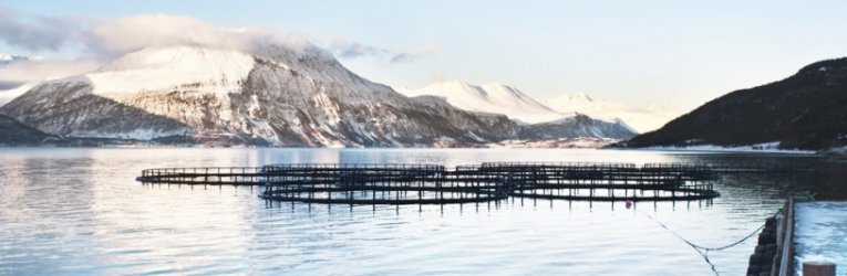 Fish cages in Norway