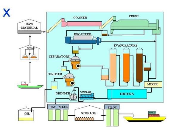 Fishmeal Process