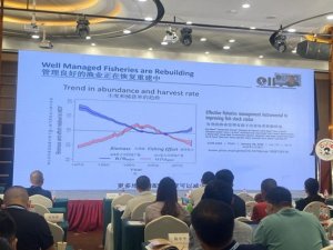 China conference