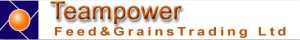 TeamPower logo