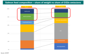 carbon footprint