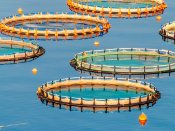 fish farms
