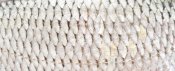 Fish scales