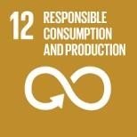 SDG12